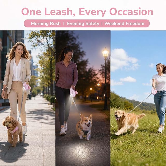 Foto 2 de 7 de Correa Perro Extensible 5 Metros para Perros, Correas Extensibles Pensativo con Linterna