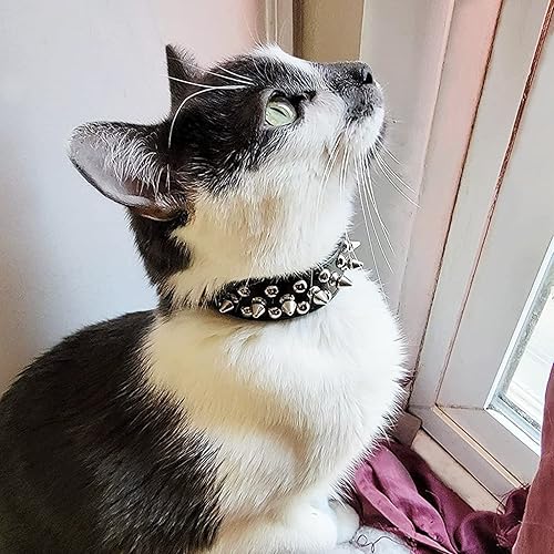 Miniatura 6 de Epesiri - Collar de perro con pinchos, collar de púas para perros, collar de piel sintética duradera con tachuelas con correa, collar ajustable para