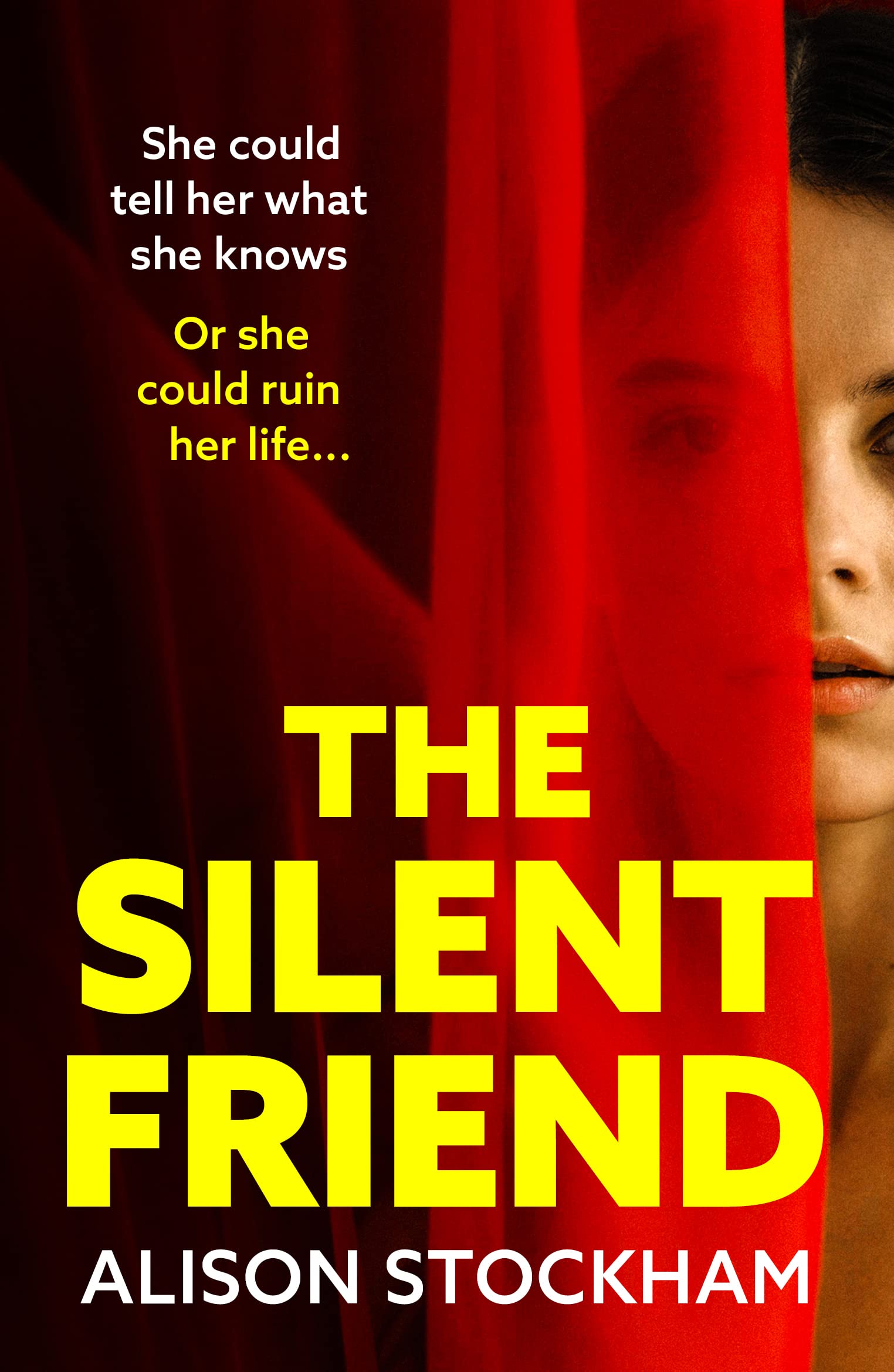 Alison Stockham Unisex Multicolor The Silent Friend Paperback Book