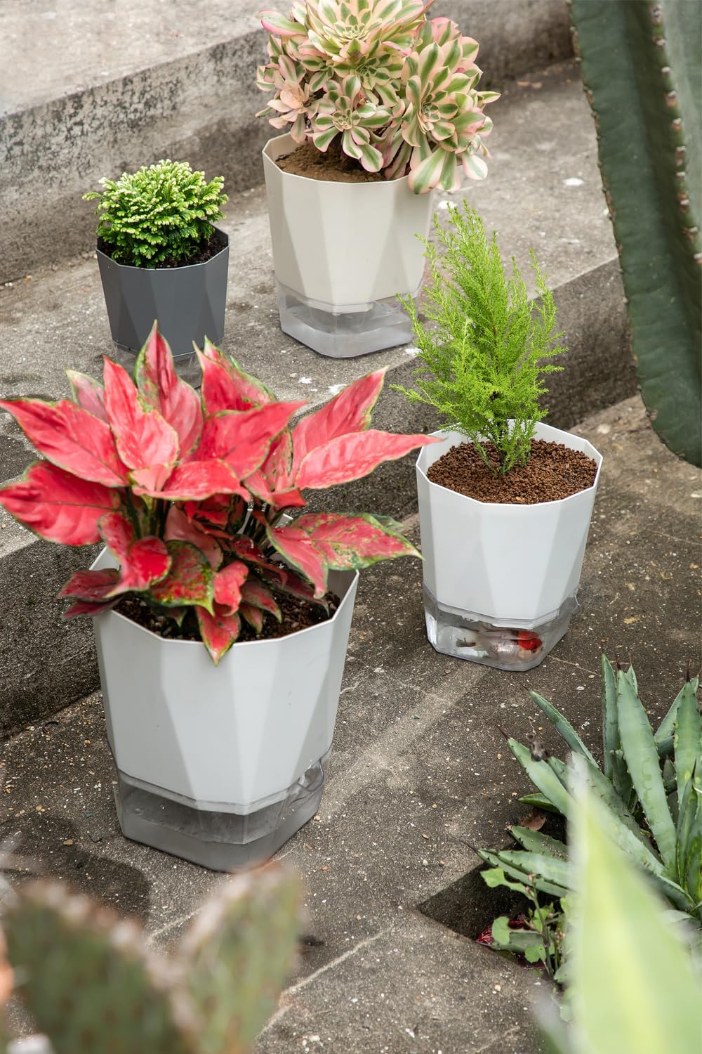 3 Pack 8.5/6.7/5 Inch Plastic Self Watering Indoor Planters,Modern Decorative Plant and Flower Pots for Succulents,Aloe,Herbs,African Violets,Peace Lily with Absorbent Rope,White