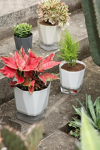 Miniatura 6 de Qimodo Paquete de 3 macetas de plástico de 8.56.75 pulgadas con autorriego para interiores, plantas decorativas modernas y macetas para suculentas,