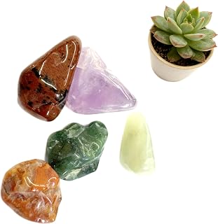 9 MN345 Rainbow Quartz Iridescent Crystal with Soft Spectral Colors for Magical Dew and Prism Effects in Miniature Bonsai Landscaping