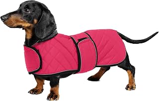 Geyecete - Warmer wintermantel für dackel Hunde,Hunde Winterjacken mit plüschfutter,Outdoor jacken mit verstellbaren gürtel und Kabelbaumloch,für mittelgroße und Kleiner dackel-Rosa-M