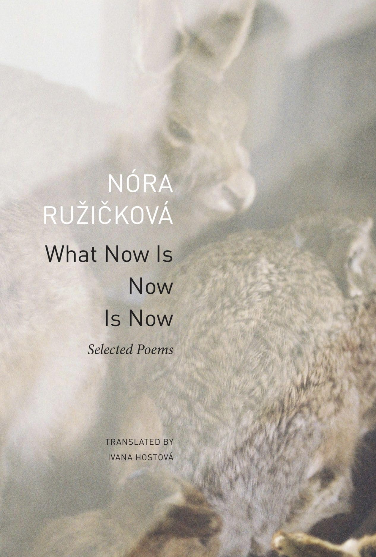 What Now Is Now Is Now: Selected Poems (The Slovak List)