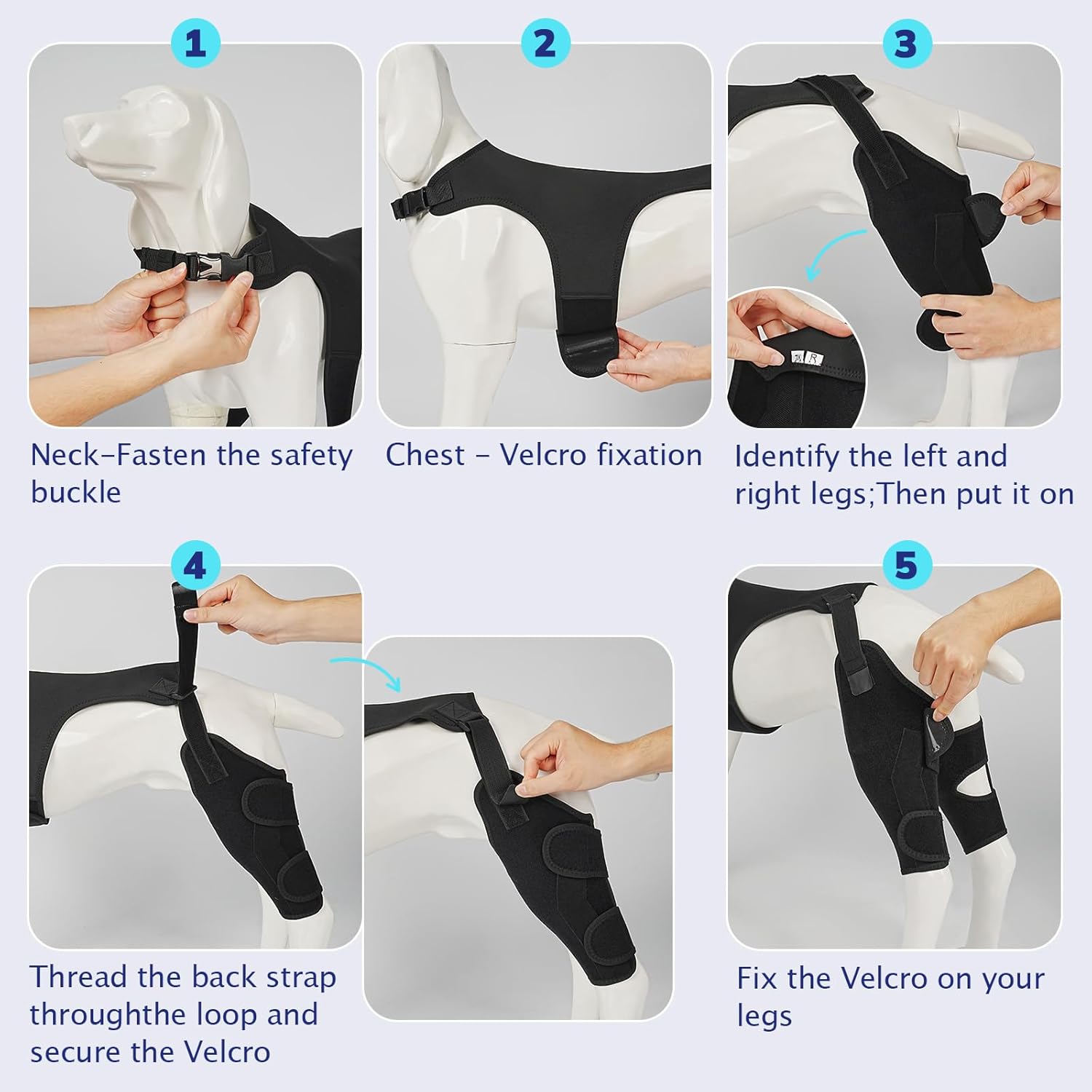 Dog Knee Brace for Torn ACL Hind Leg- Dog Leg Support Brace with Metal Stabilizers for Torn CCL, Limping, Luxating Patella, Ligament Injuries, Hip Dysplasia& Arthritis,XXL&Vest5
