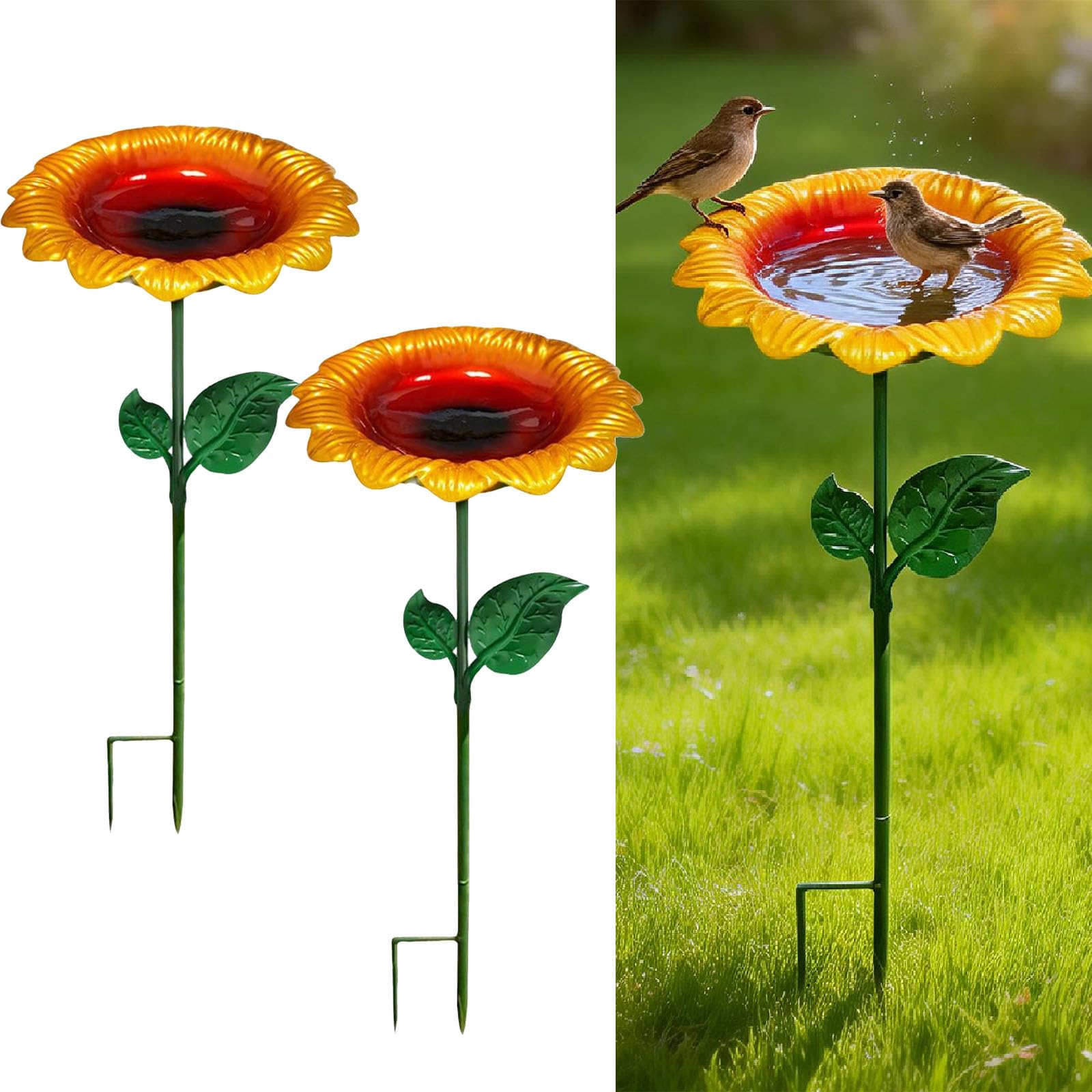 Bain d'eau pour oiseaux sauvages : créez un coin de nature sur votre balcon avec ce tournesol