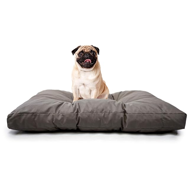 TECNOCUCI Cuscino per cani SNUGGY, ideato per il riposo del tuo Cane - Resistente a graffi e morsi