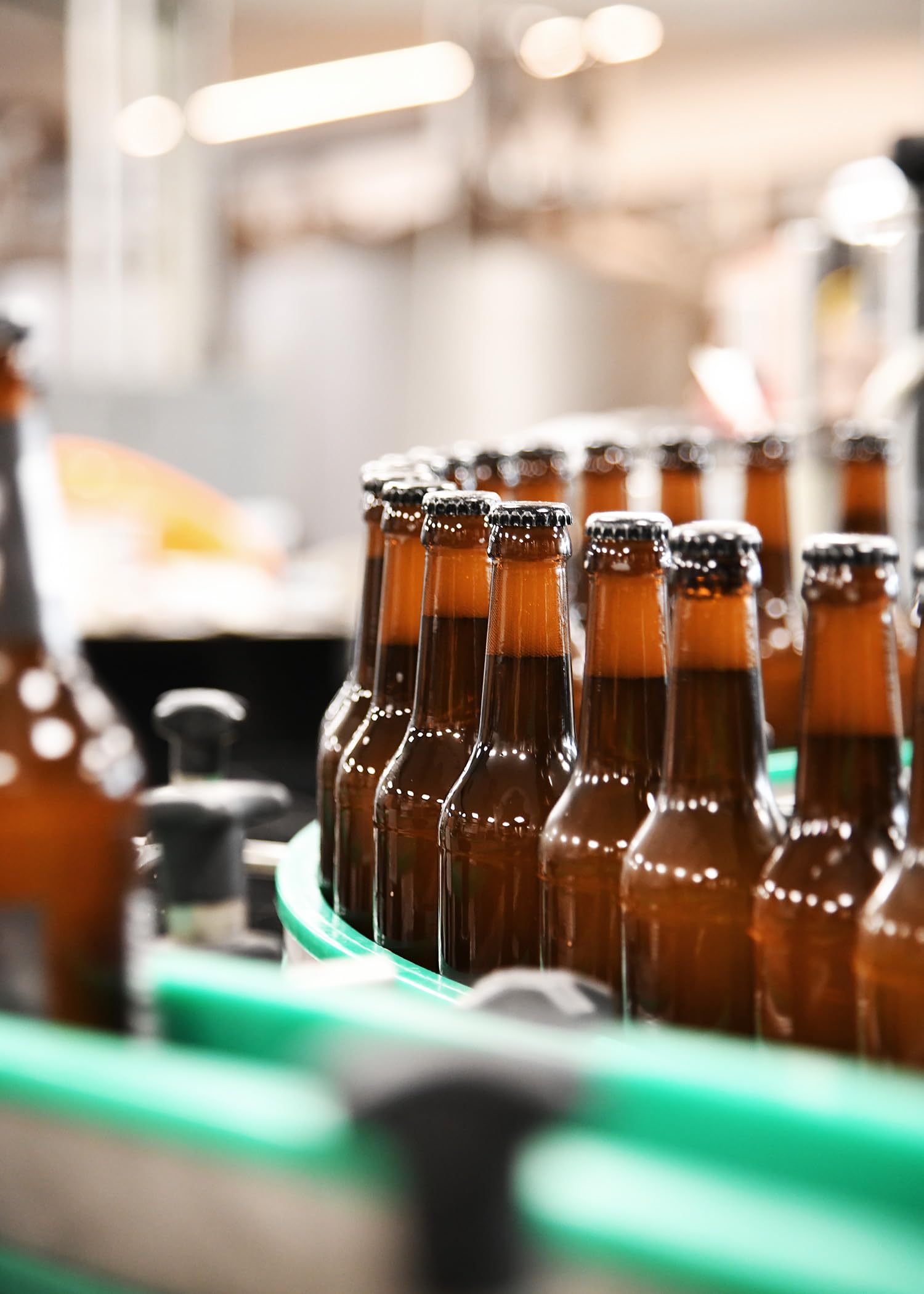 WACKEN BRAUEREI Craft Beer Box 20 x 0,33 l verschiedene Sorten Viking Craftbeer Set Geschenk für Männer