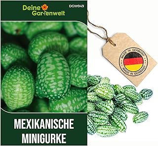 Mexikanische Minigurke Samen - Melothria scabra - -Gurkensamen - Minigurkensamen - Gemüsesamen - Saatgut für 10 Pflanzen