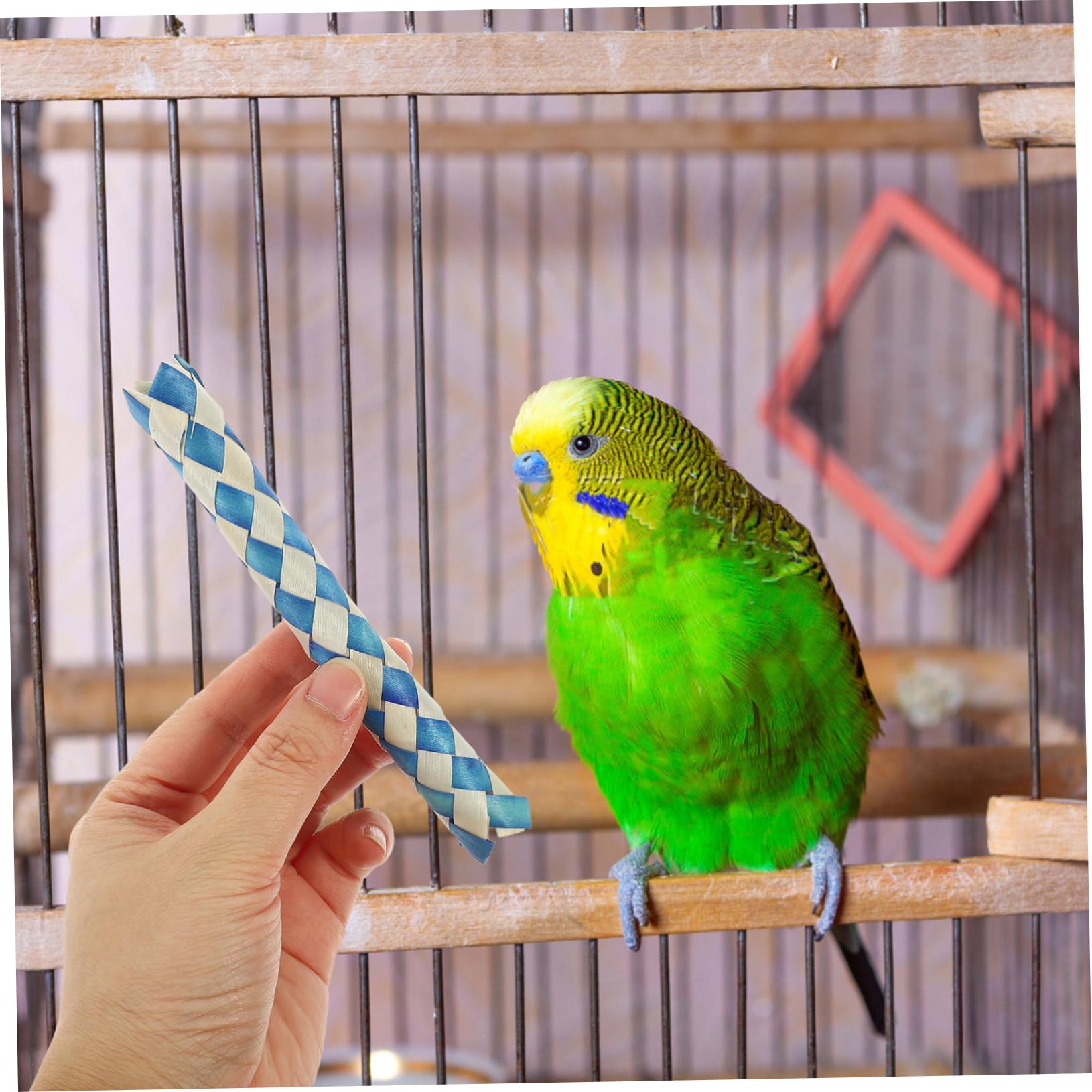 24pièces Jouet pour Oiseaux Accessoires De Fête Anniversaire Remplissage De Et De pour Oiseaux Jouets à Mâcher pour Perruches Et Perroquets Aléatoires