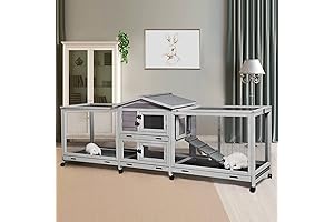 Spacious Rabbit Hutch Outdoor Home for up to Four Rabbits