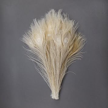 Eggshell Peacock Eye Feathers - 8-15" 100pc Wedding DIY Craft Home Decor