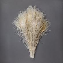 ZUCKER Eggshell Peacock Eye Feathers - 8-15" 100pc Wedding DIY Craft Home Decor