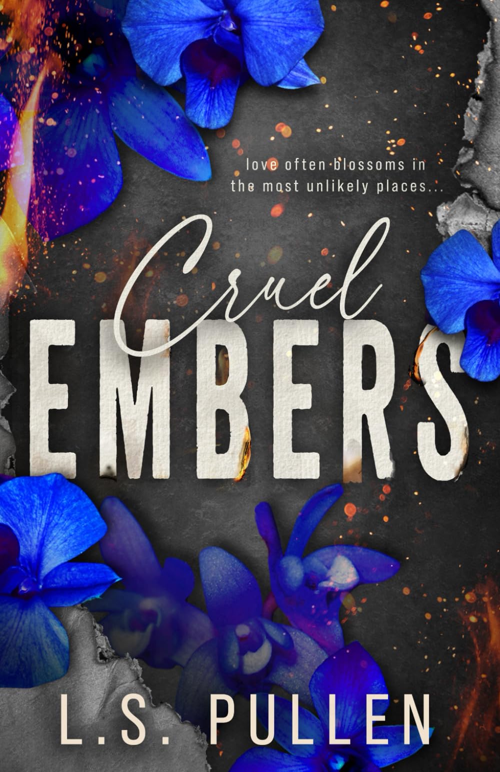 Cruel Embers (Embers Series)