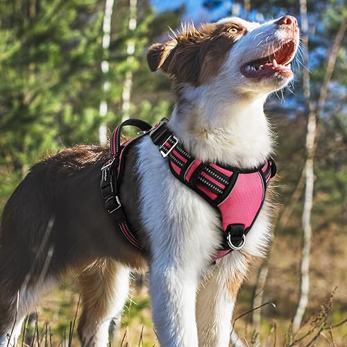 Miniatura 8 de rabbitgoo Dog Harness Medium Sized, No Pull Dog Vest with 3 Buckles, Adjustable Soft Padded Pet Harness with Easy Control Handle and Reflective Negro