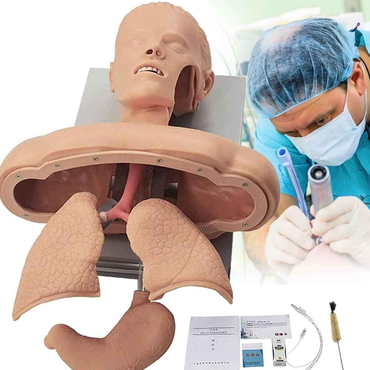 HEQIM Tracheal Intubation Strain Training Simulator Model, Airway Management Trainer, Training Mannequin, Head Teaching Research Mannequin for Scientific Education/Learning/Practice