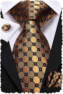 Hi-Tie Men's Silk Stripe Paisley Tie Set with Pocket Square & Cufflinks - Wedding Business Formal Gift