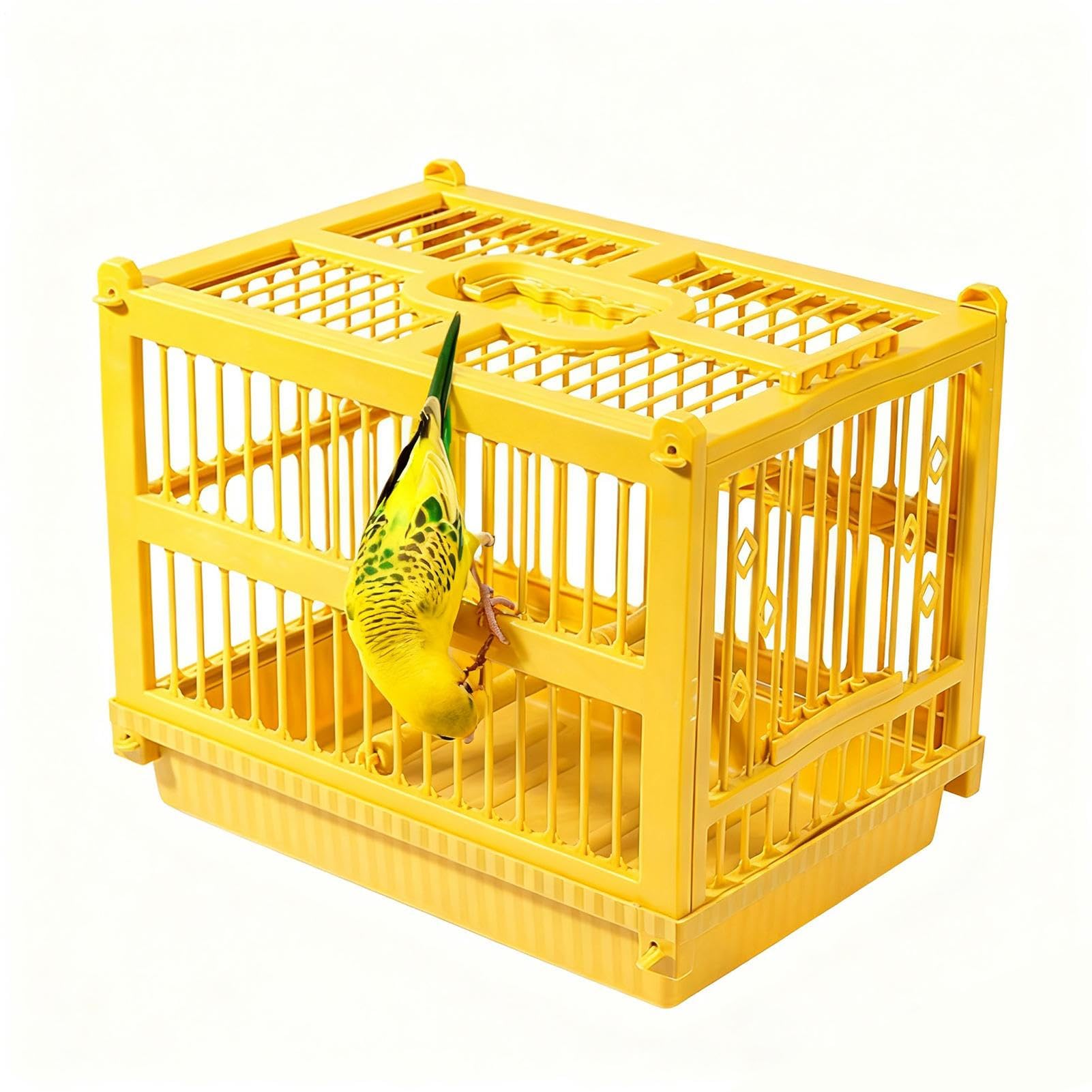 Cage de transport pour oiseaux avec perchoir portable pour perruche et calopsitte