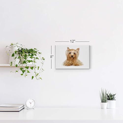 Vista 55 de Smile Art Design Border Collie Bulldog Rottweiler Cachorro Persa Gatito Animal Lienzo Impresión Arte de Pared Pet Cat Dog Lover Sala Dormitorio