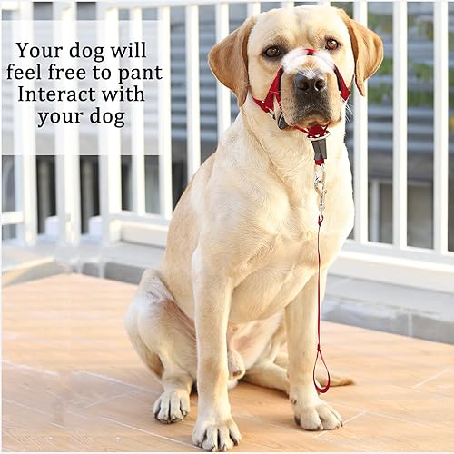 Miniatura 6 de BARKLESS Collar de cabeza sin tirones para entrenar y caminar de perros, arnés suave con guía de entrenamiento experto (idioma español no