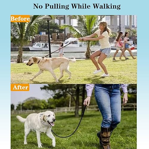 Miniatura 3 de Collar de púas para perros, collar ajustable de entrenamiento para perros con hebilla de metal de liberación rápida para perros pequeños, medianos y