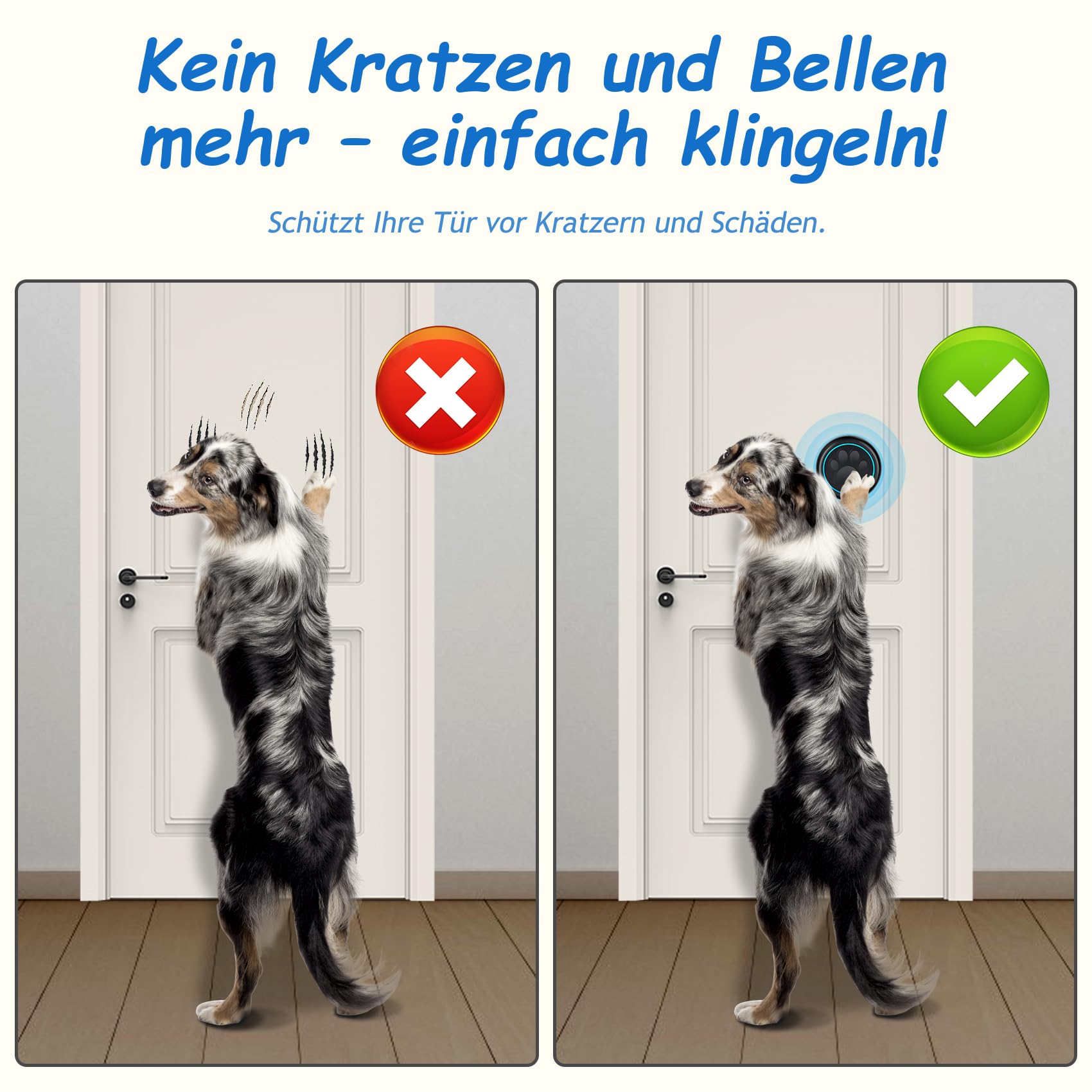 A6 Blk Katzen- & Hundeklingel für Tür – Kabellose Haustier-Türklingel, 300 m Reichweite, 60 Melodien, LED-Signal, Wasserdicht, Buzzer für Hund & Katze (1 Klingeltaster + 1 Empfänger)
