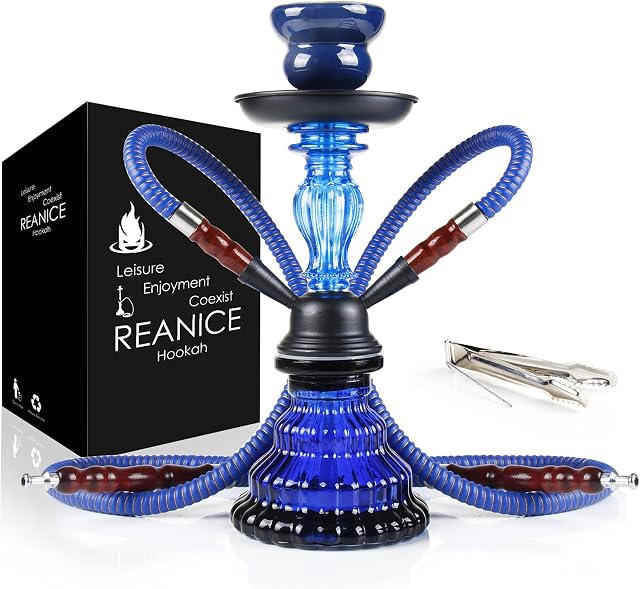 REAMIC 11'' Handmade Shisha Glass Water Hookah Set with 2 Hose (Blue,Small)