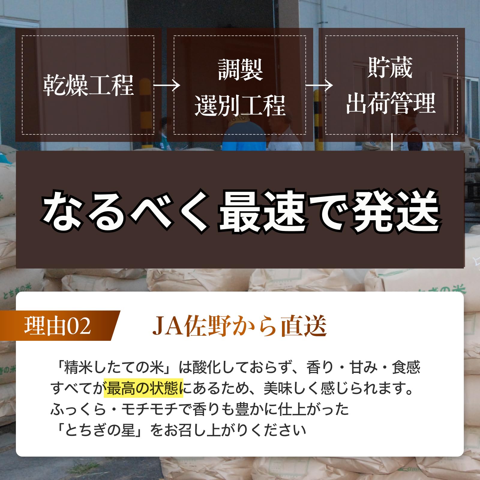 Amazon.co.jp: JA佐野 令和7年産 とちぎの星 栃木県産 米 こめ rice