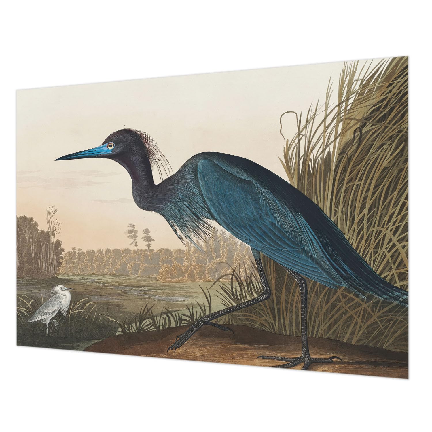 Papier peint intissé oiseaux aquatiques pour chambre cocooning