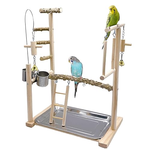 Acsist Bird Playground Parrot Playstand Bird Perch Stand Gym Natural Wood Play Stand with Swing Ladder Feeder Cups for Parakeets Cockatiels Lovebirds Conures Budgies