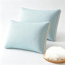 Cooling Pillow for Sleeping Queen Size Set of 2,Cool Bed Pillows for Hot Sleepers,18 x 29 Inches Breathable Down Alternative Microfiber Fill for Side Back Stomach Sleepers