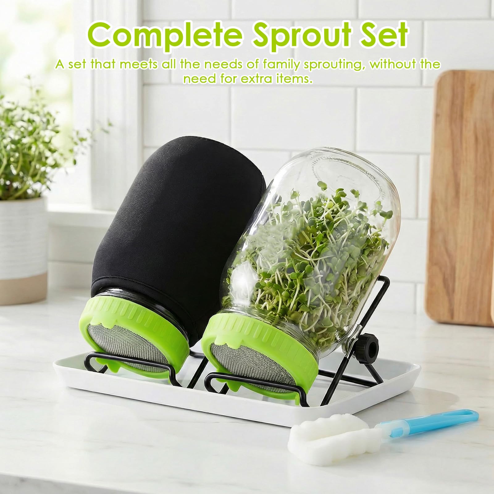 Kit completo de germinación en frascos (2) - Kit de cultivo de brotes de vidrio con tapa de acero inoxidable, soporte de goteo para brotes de brócoli, frijol mungo y alfalfa