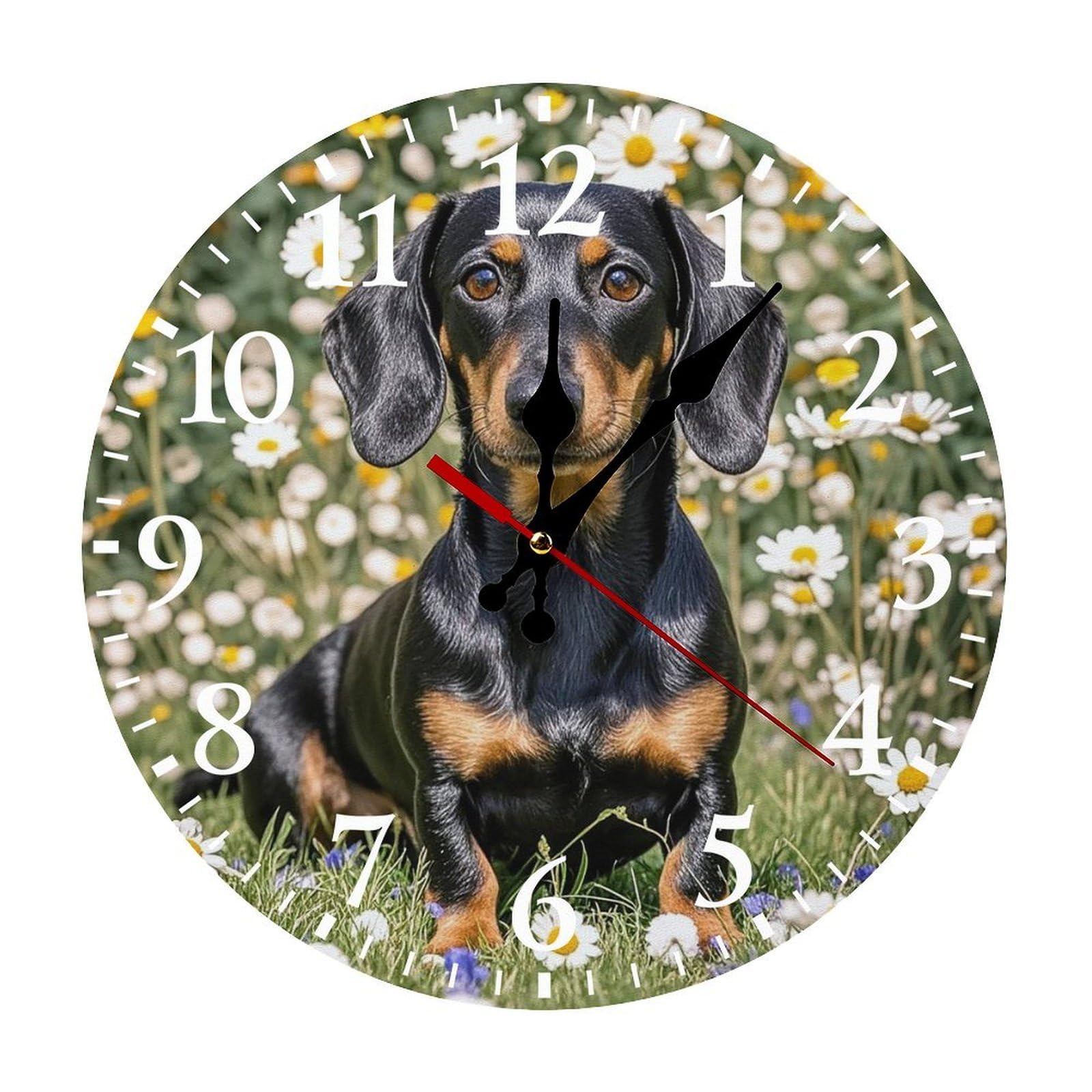 QMNLKH Pad Dachshund Wall Clock for Home, Battery Operated Clock for Hotel, Round Wall Clock with Arabic Numerals White, Easy to Read, Non-Ticking Clocks for Living Room 30 * 30cm