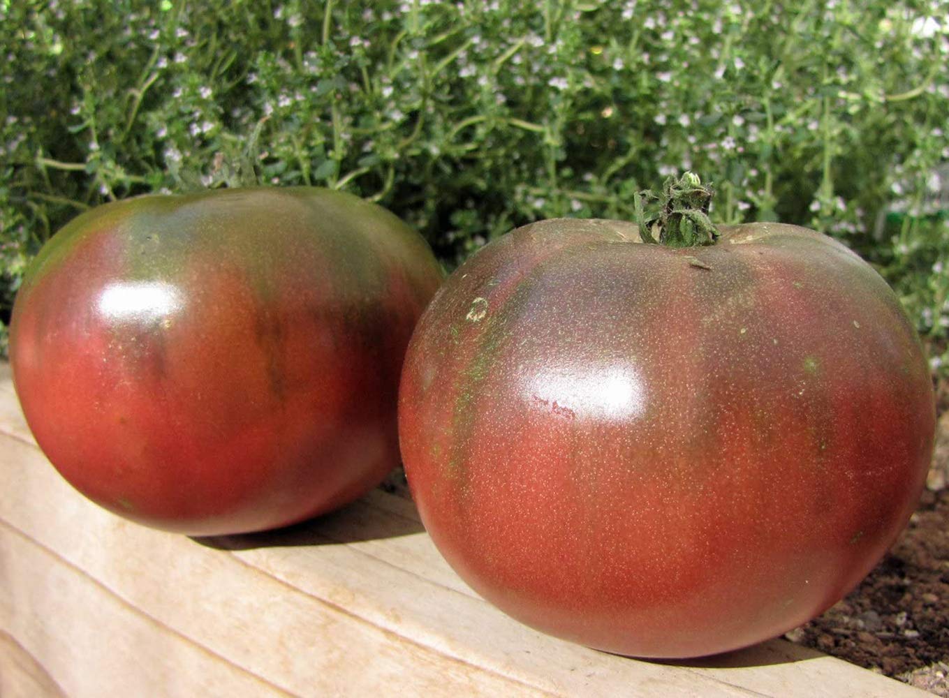 VibeX Perennial Heirloom Tomato Seeds-250 Seeds (B0BBGM8VWJ) Amazon Price History, Amazon Price Tracker