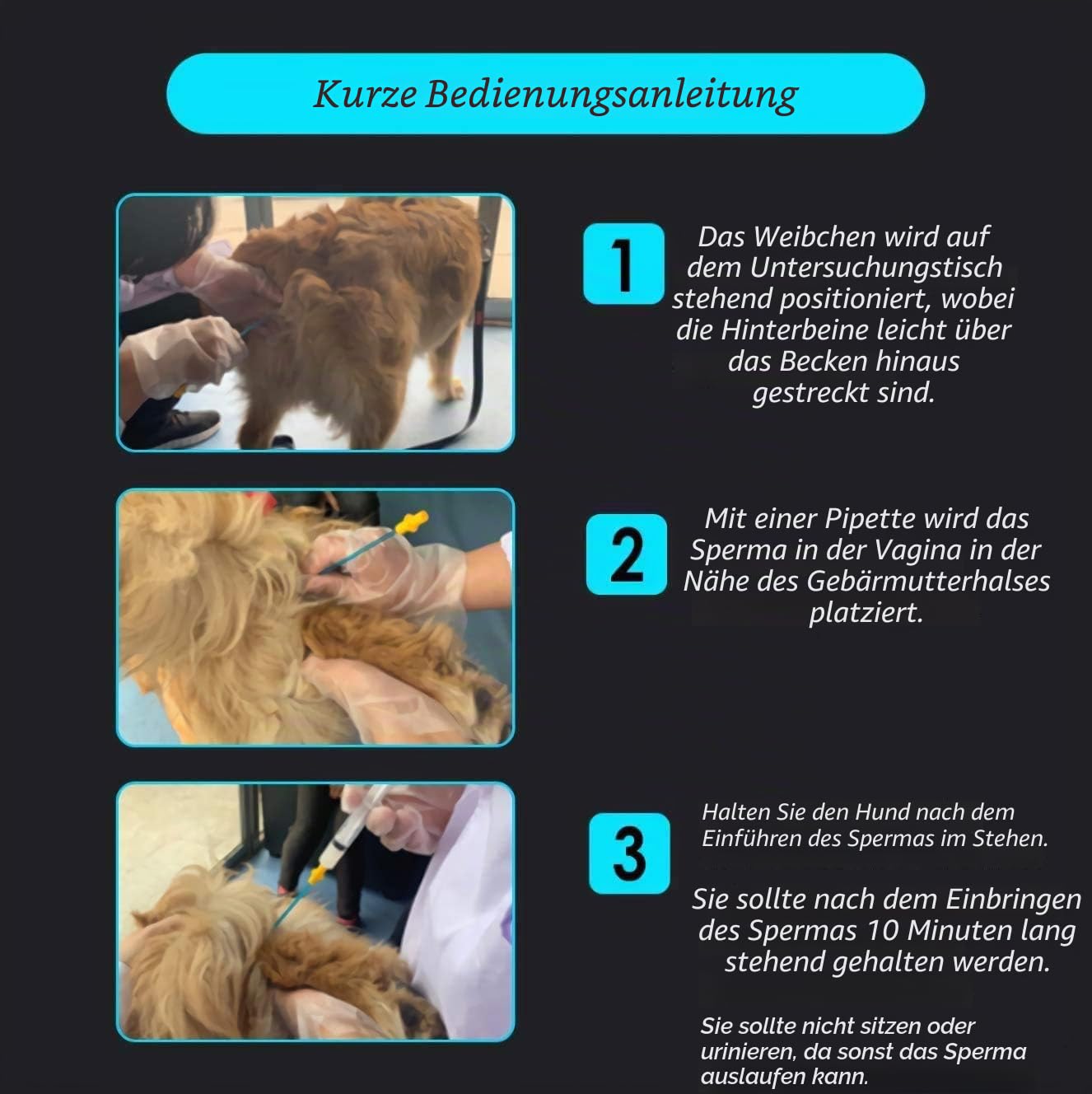 10 Set Hundezucht Kit, Kit zur künstlichen Befruchtung von Haustieren, Hundezucht-Kit für kleine und mittlere Haustiere