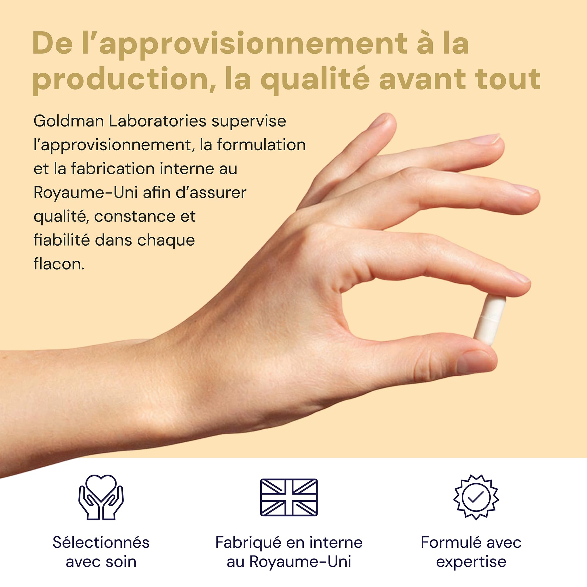 VITAMINE C LIPOSOMALE 500mg - Dose puissante Vitamine C I Encapsulée pour une biodisponibilité maximale I 100% non-OGM et végétalienne I Complément alimentaire - 60 Capsules Vegan