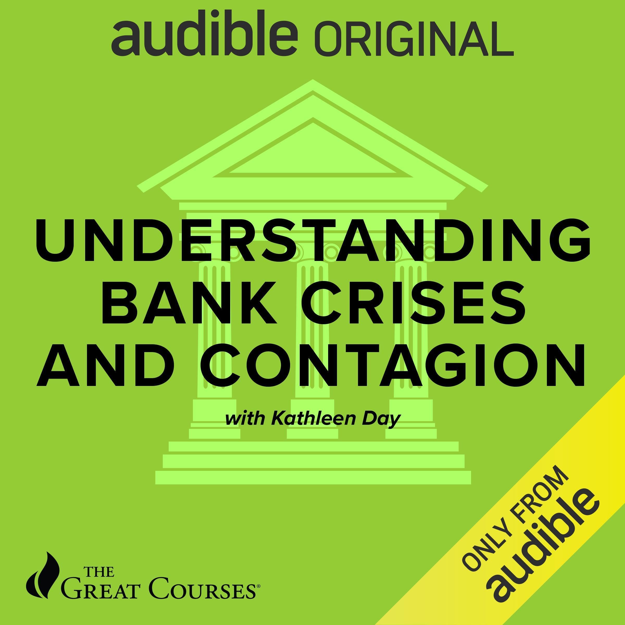 Cover art for Understanding Bank Crises and Contagion
