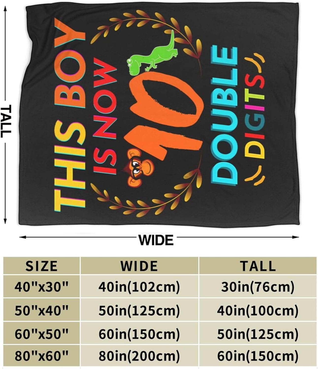 This Boy is Now Double Digits Blanket Tapestry Sofa Bed Fuzzy Plush Luxury Flannel Super Cozy All Seasons Microfiber Warm Decorative Lightweight Bedroom 80""x60"", Painting