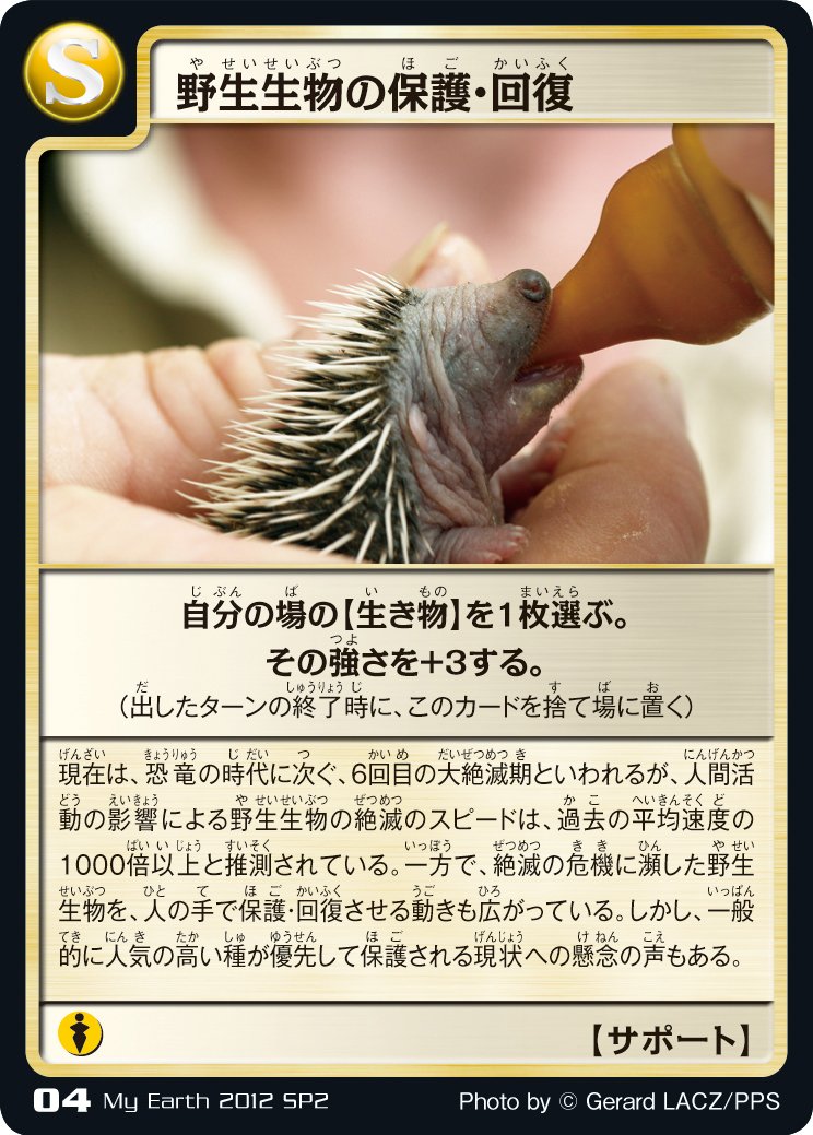 Amazon.co.jp: 地球環境カードゲーム マイアース スタートパッケージ