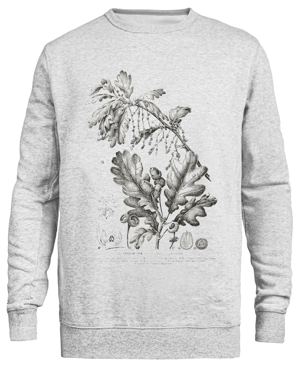 Liść Dębu Naukowy Unisex Szary Sweter Ekologiczny Unisex Grey Sweatshirt Eco-Friendly Crewneck