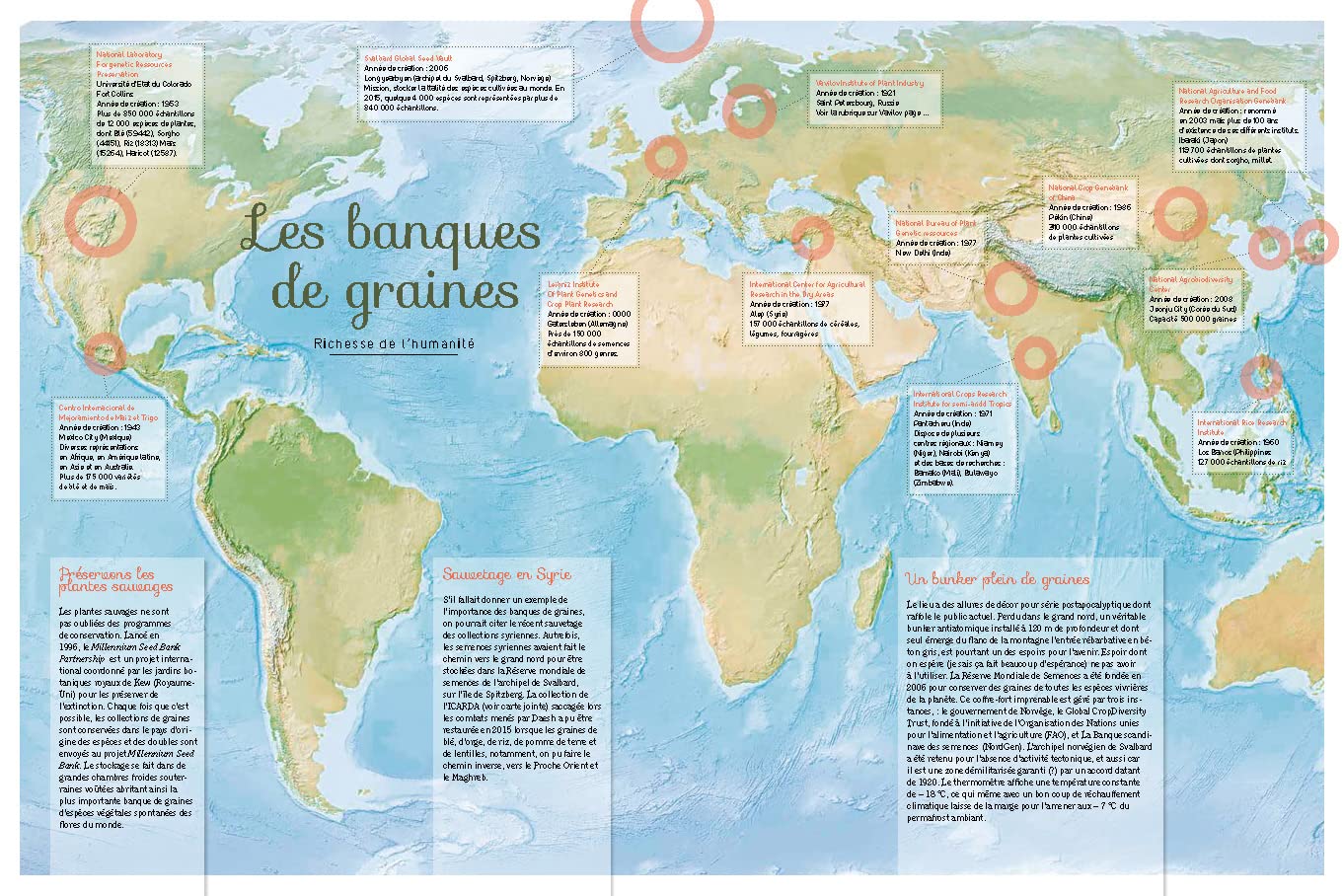 Graines: Tous les savoirs, toutes les histoires, tous les pouvoirs, tous les espoirs