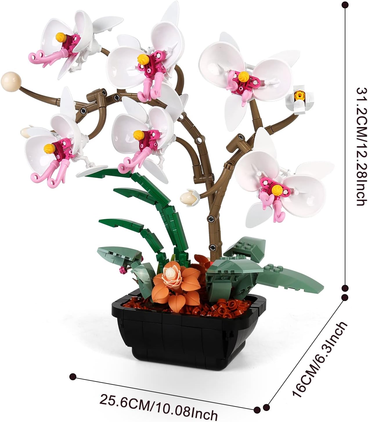 Diagram showing dimensions of the assembled orchid model