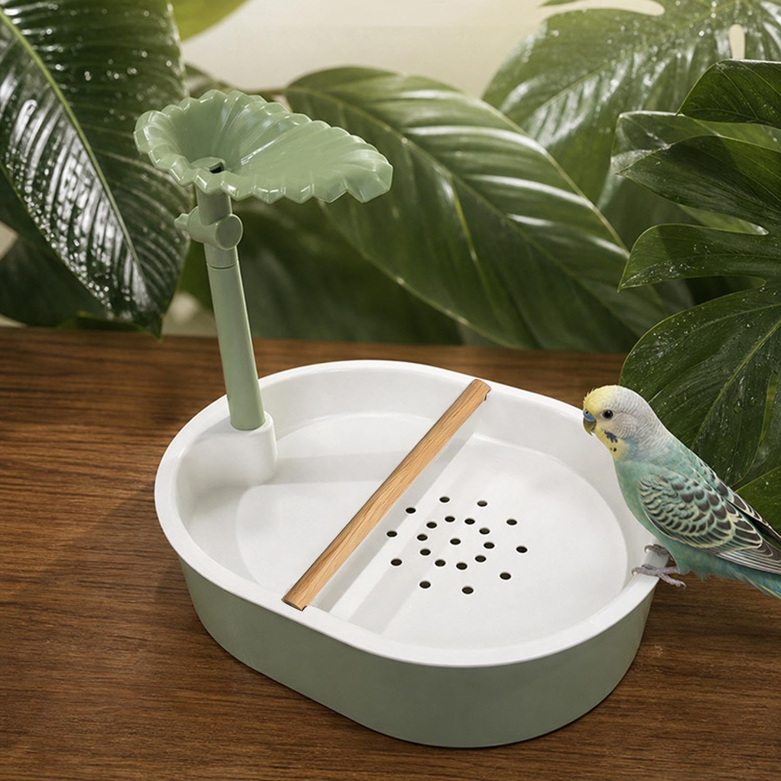 Vasca da bagno per uccelli a circolazione automatica - vasca da bagno da
