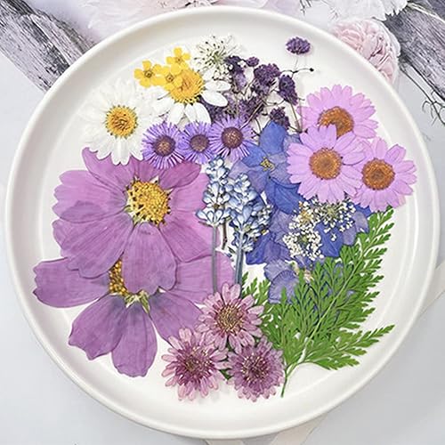 Miniatura 3 de 146 piezas de flores prensadas moradas para moldes de resina, surtido de flores secas naturales reales, hojas, calcomanías de mariposa para