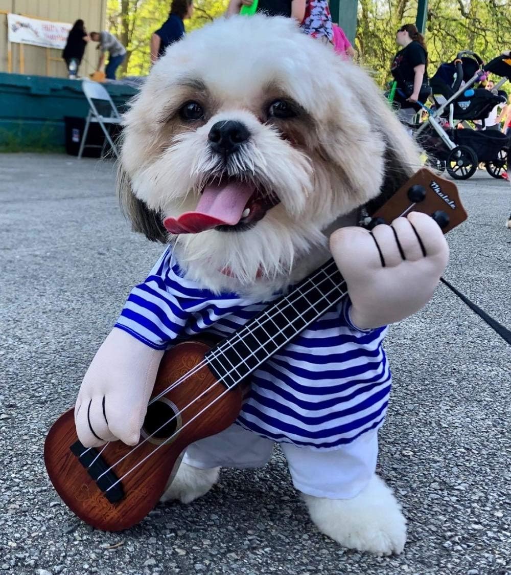 Dog Guitar Dress Puppy Halloween Costume Funny Guitar Player Cosplay Outfit for Small Dog Cat Puppy Pet