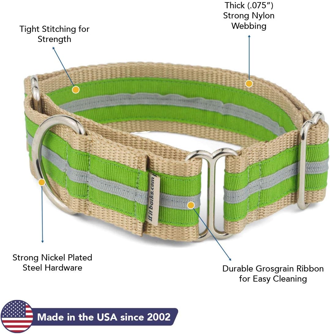 If It Barks - 1.5" Martingale Collar for Dogs - Stripe Design - Adjustable - Strong and Comfy Nylon - Ideal for Training - Made in USA - Medium, Apple/Gray