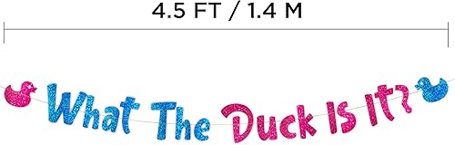 Miniatura 3 de Cartel de fiesta de revelación de género - Decoraciones de baby shower rosa y azul