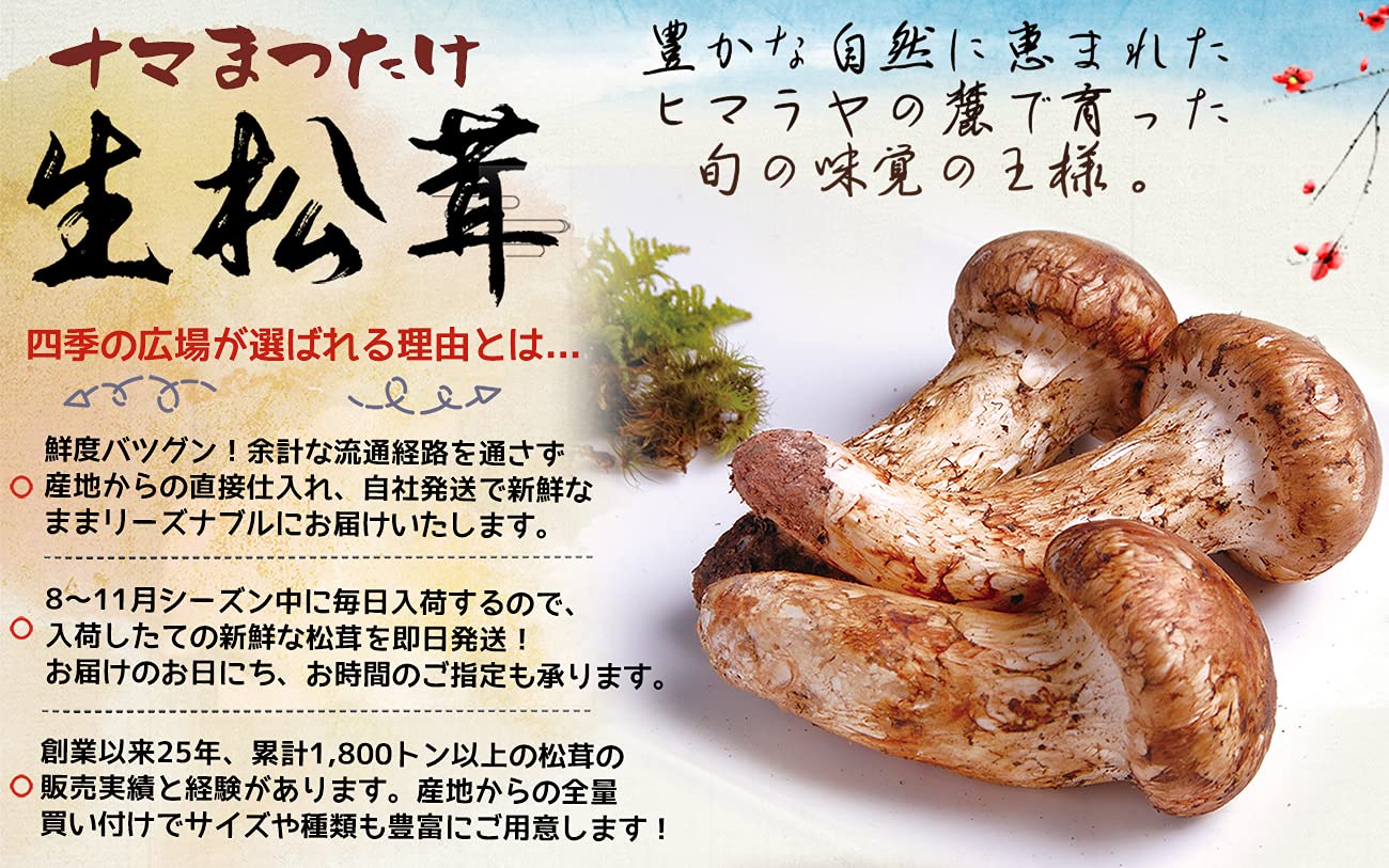 Amazon | 生松茸 開き HBサイズ【22本前後 長さ8cm前後】約1kg 空輸 