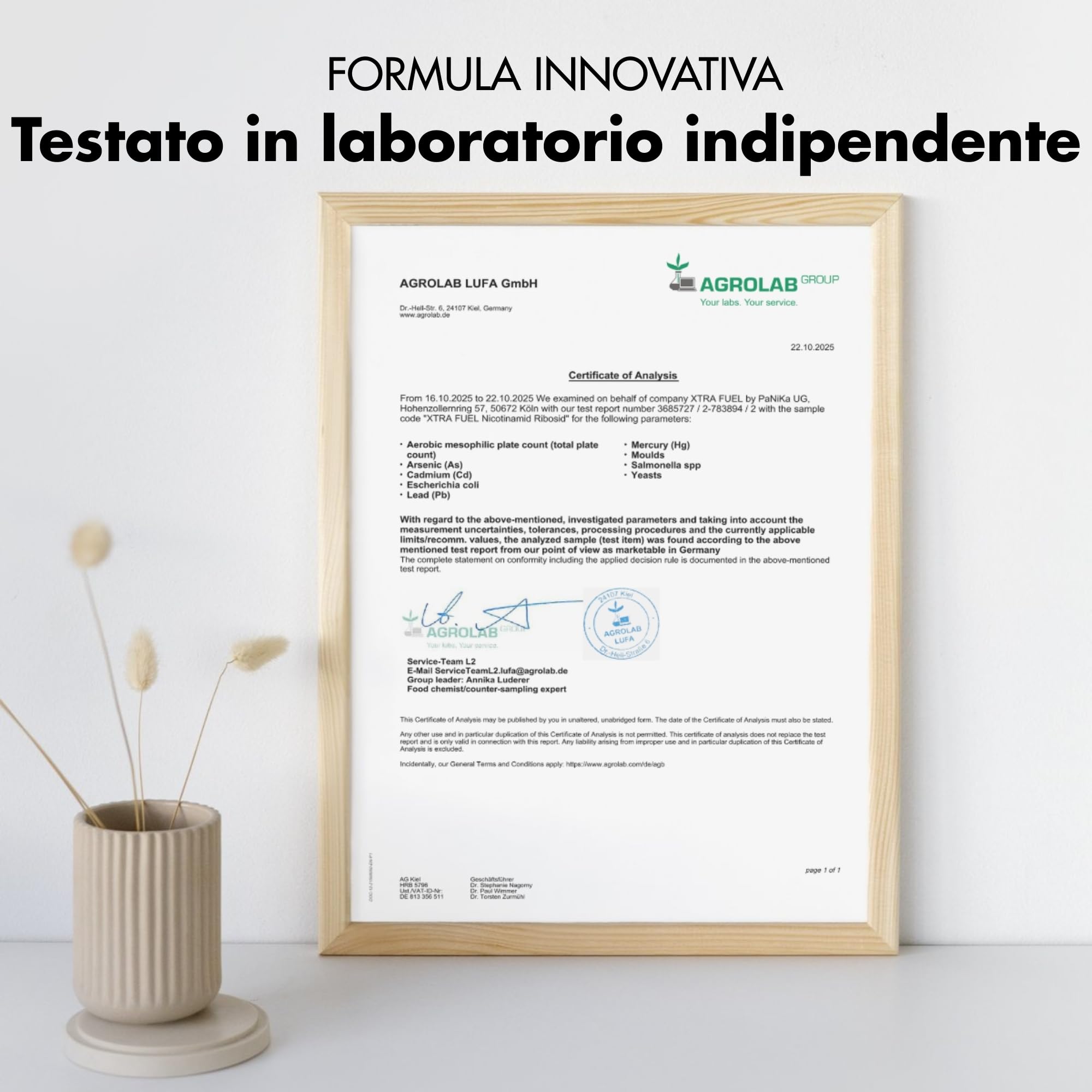 Complesso per il fegato - 180 capsule ad alto dosaggio - con cardo mariano (80% silimarina)