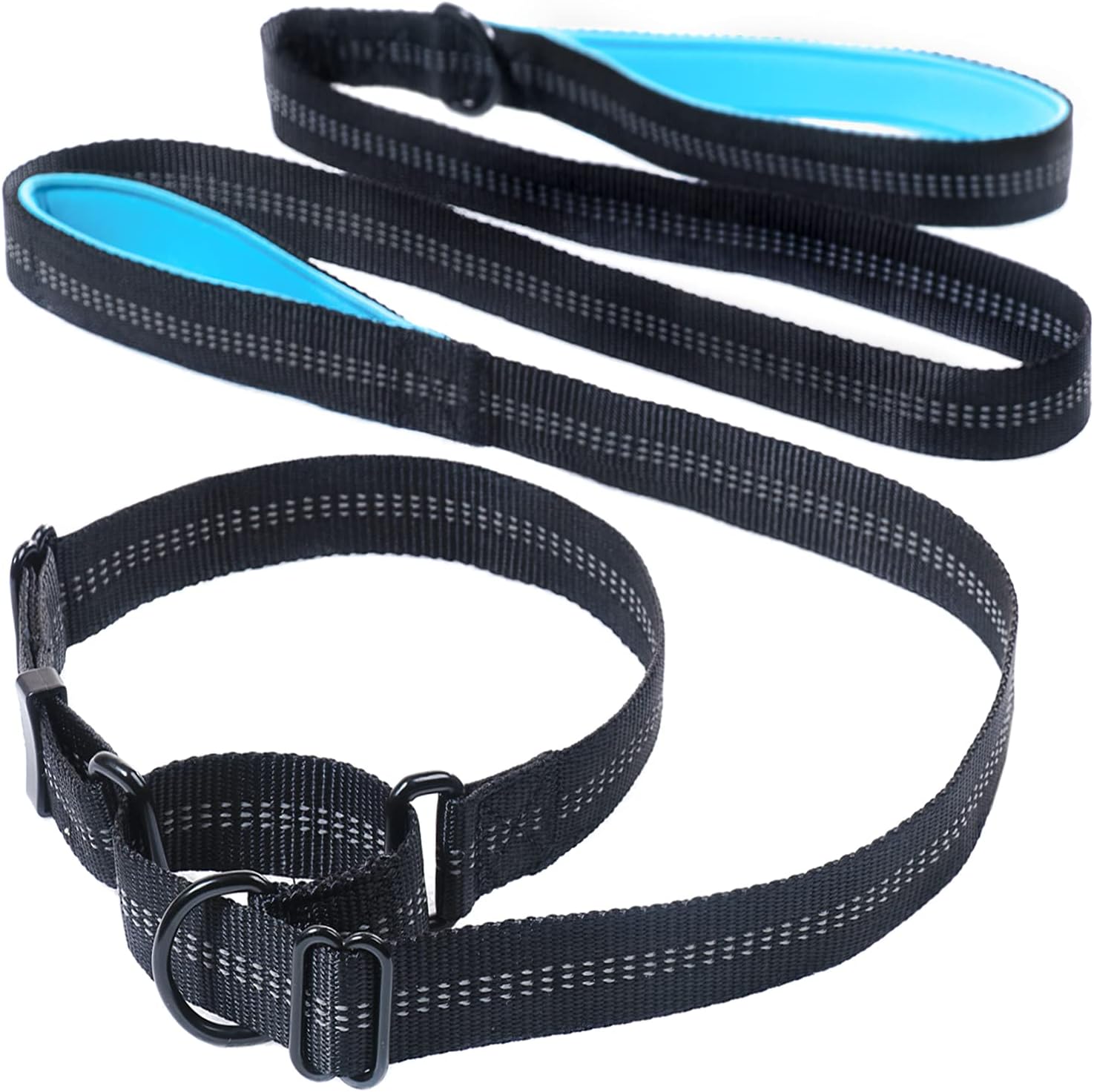 GoodBoy Martingale Slip Leash for Dogs - Leash and Collar Combo - Slip Rope Leash for Strong Dogs - Stops Pulling - Heavy Duty (Blue, 4)